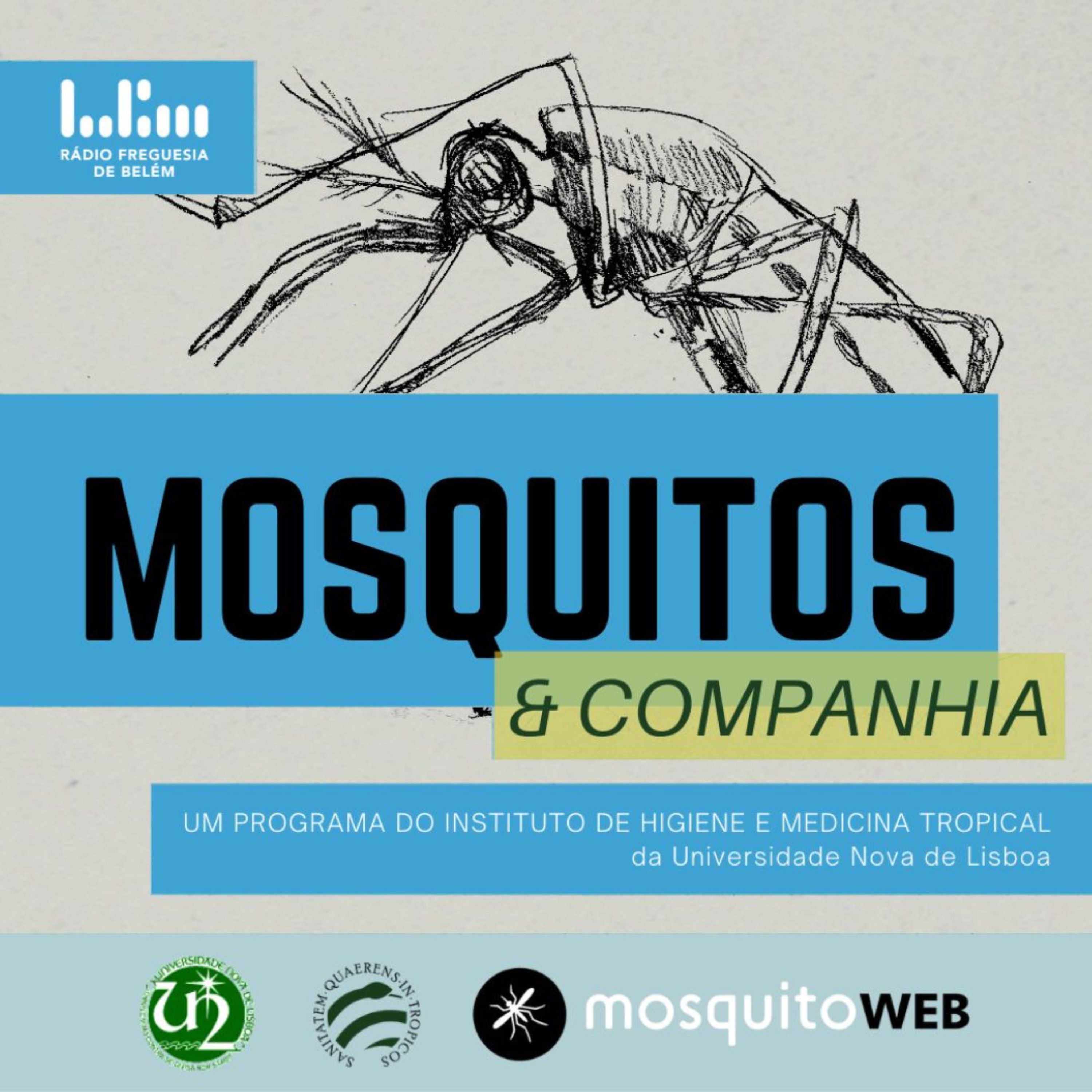 Mosquitos e Companhia